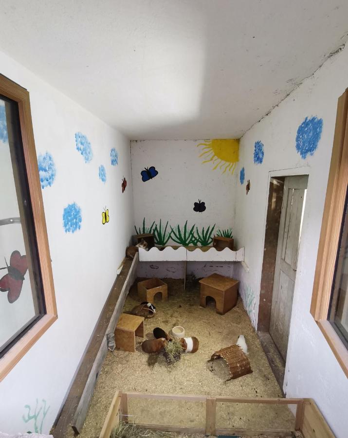 Hartl Hof Apartman Breitenberg  Kültér fotó